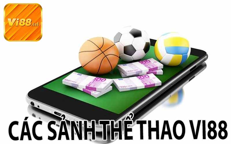 Các Sảnh Thể Thao VI88